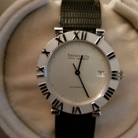 Meet your Posher, Sammy - Picture 4 of 6